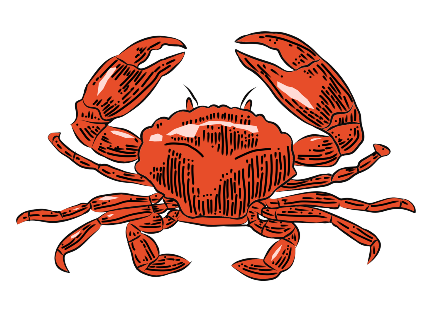 Rusty Crab Illustration